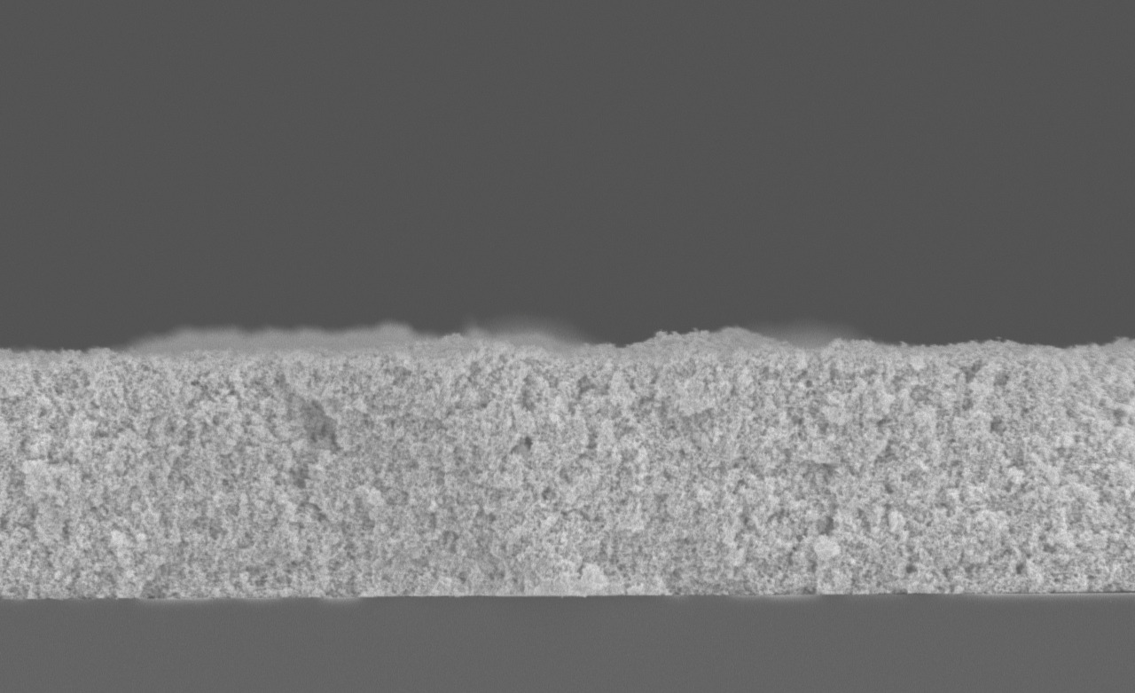 VSP-P1 NanoPrinter